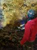 PICTURES/Inside the Volcan Tour/t_Inside1.jpg